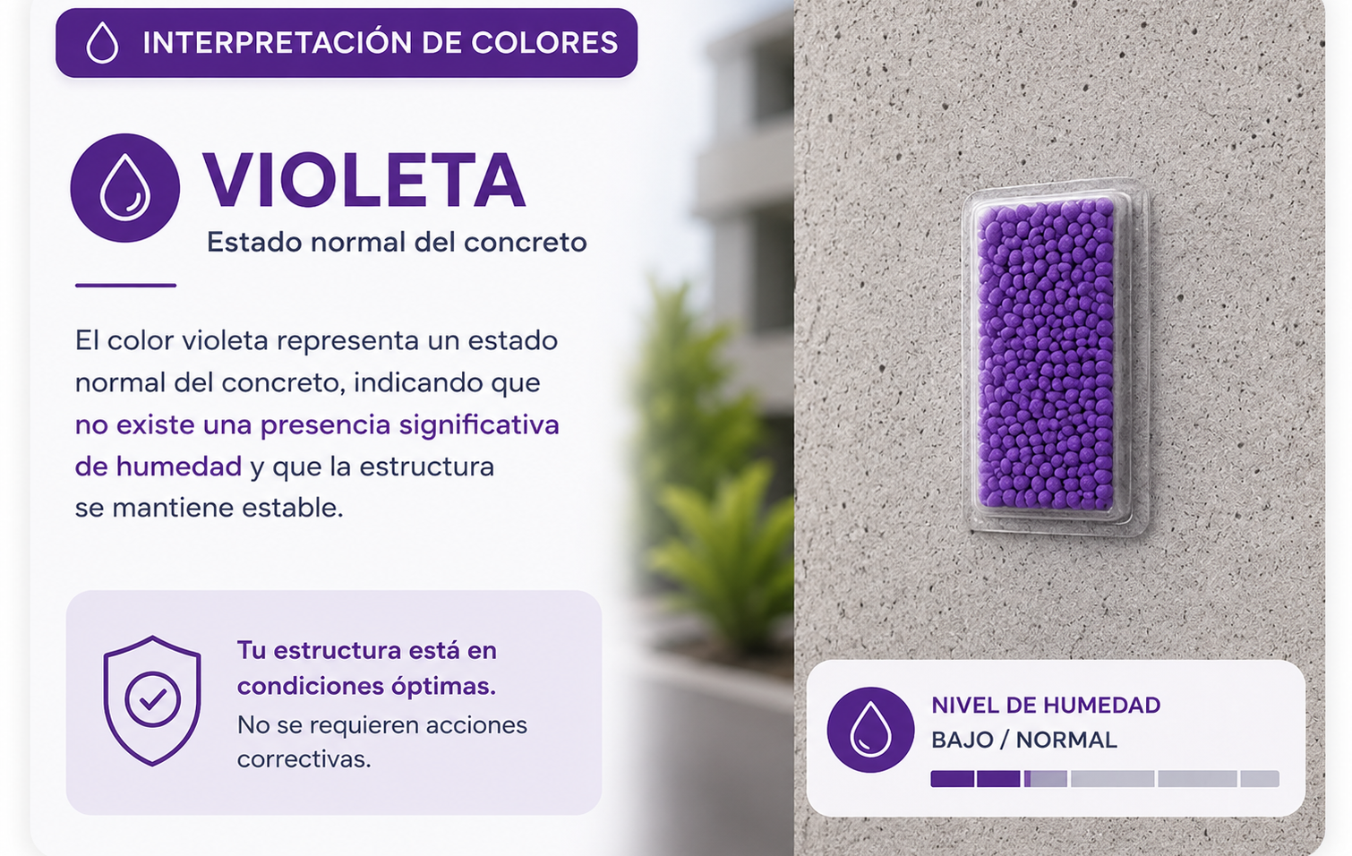 Interpretación violeta
