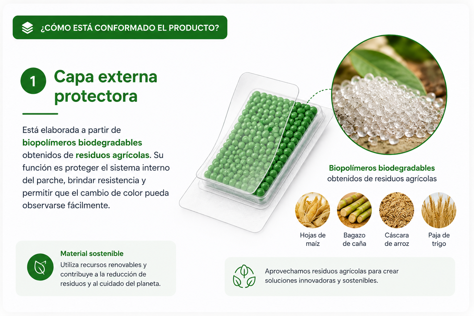 Biopolímeros