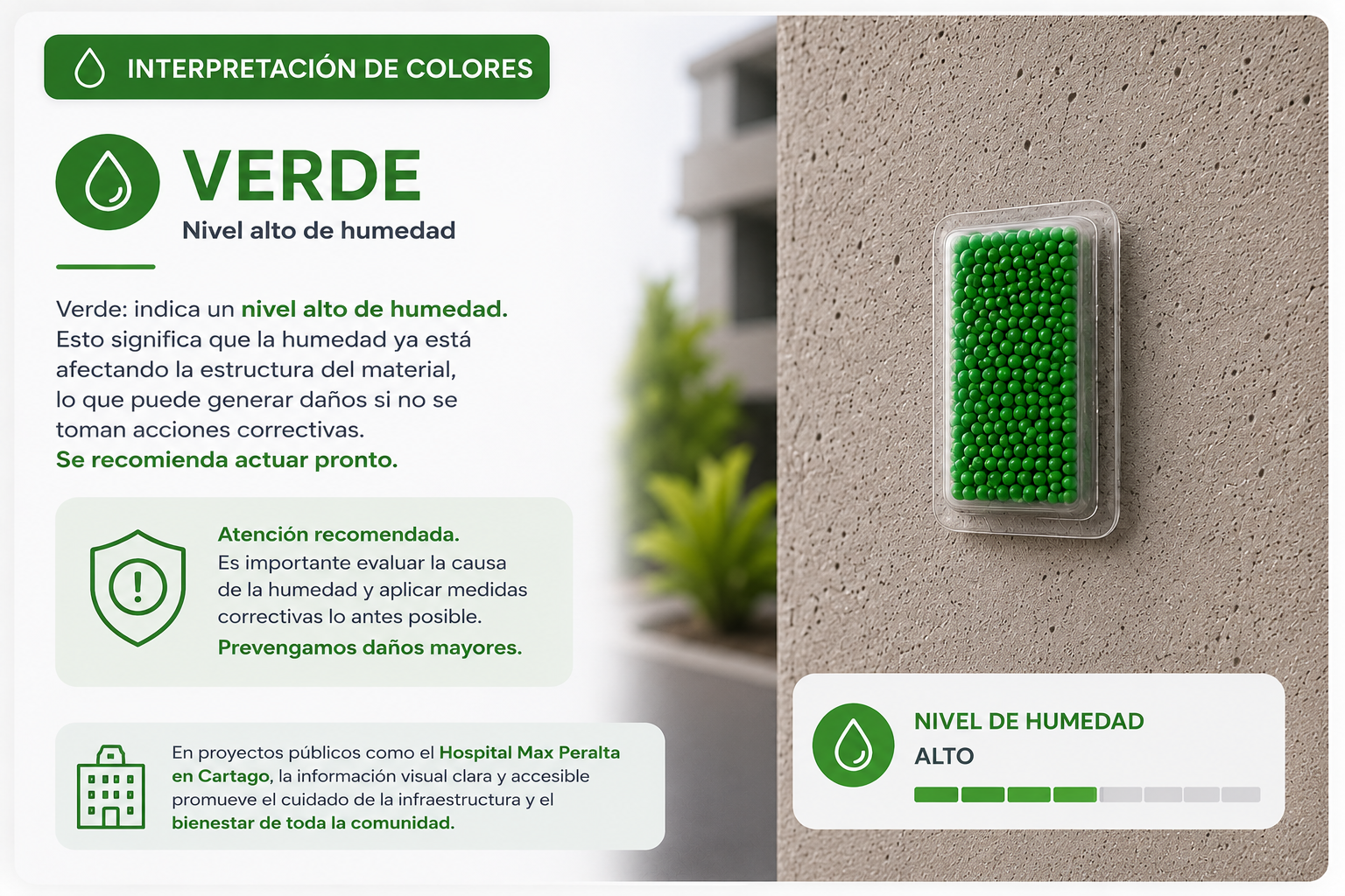 Interpretación verde